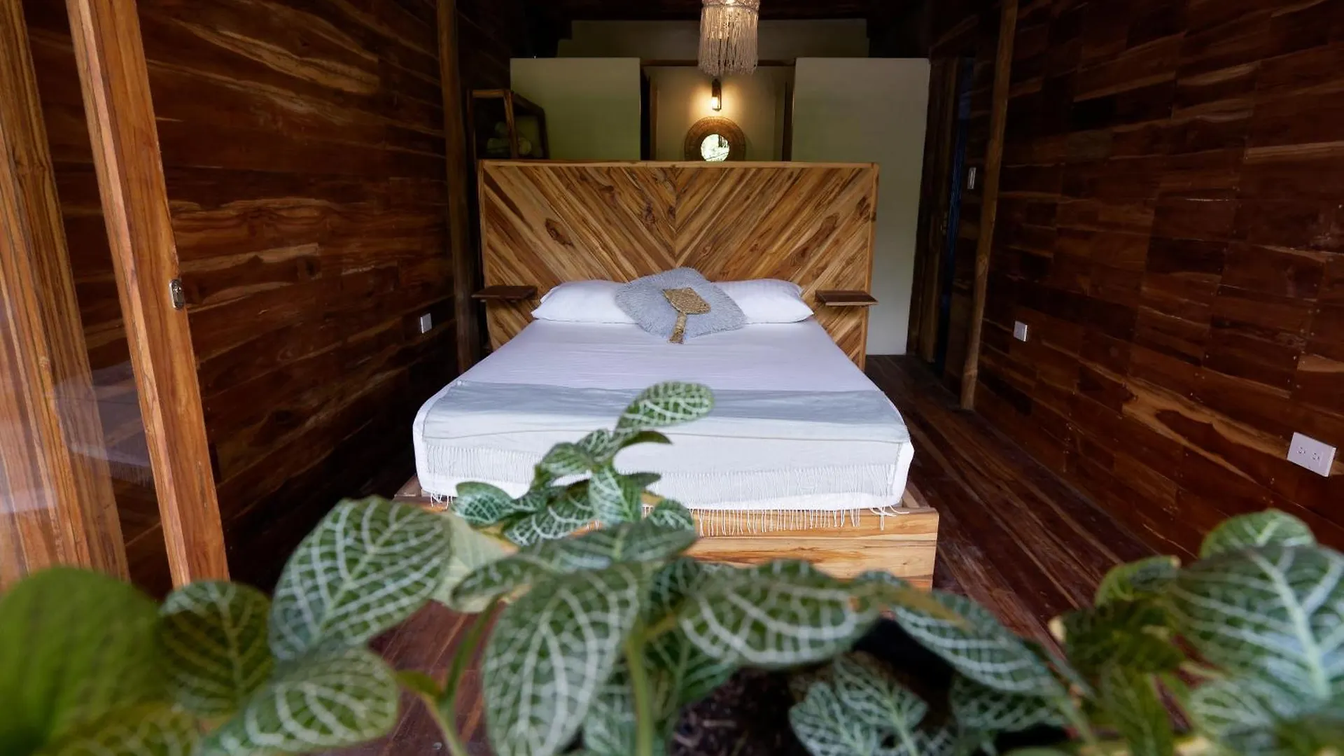 ****  Casa Dos Almas Hotel Guachaca Colômbia